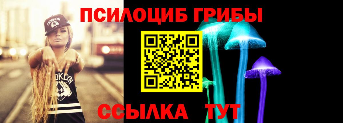 Дербент  Псилоцибиновые грибы прущие грибы  Вход с VPN  Галлюциногенные грибы ЛСД 